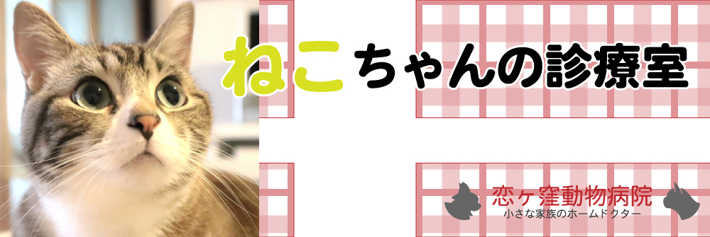 小さな家族のホームドクター 恋ヶ窪動物病院 東京都国分寺市の動物病院
