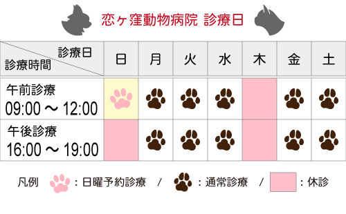 診療日/時間|国分寺市 恋ヶ窪動物病院