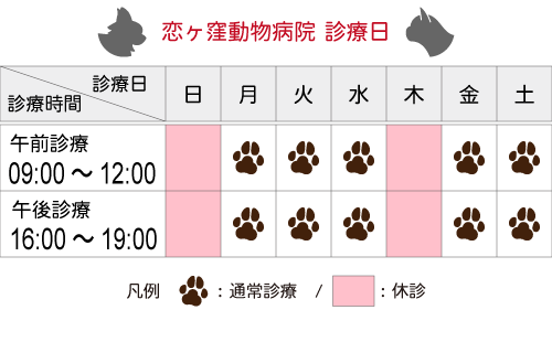 診療日/時間|国分寺市 恋ヶ窪動物病院