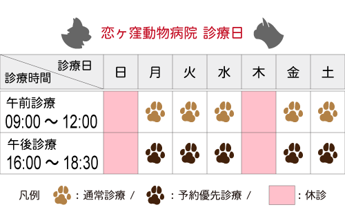 診療日/時間｜国分寺市 恋ヶ窪動物病院