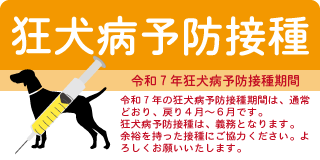 狂犬病予防接種