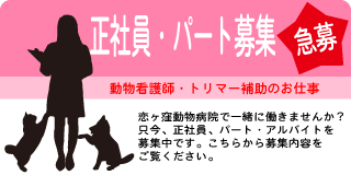 動物看護師兼トリマー募集