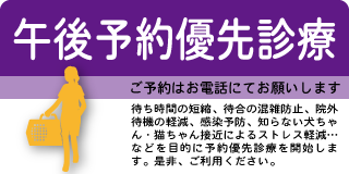 狂犬病予防接種